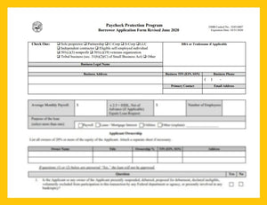 Paycheck Protection Program Borrower Application Form