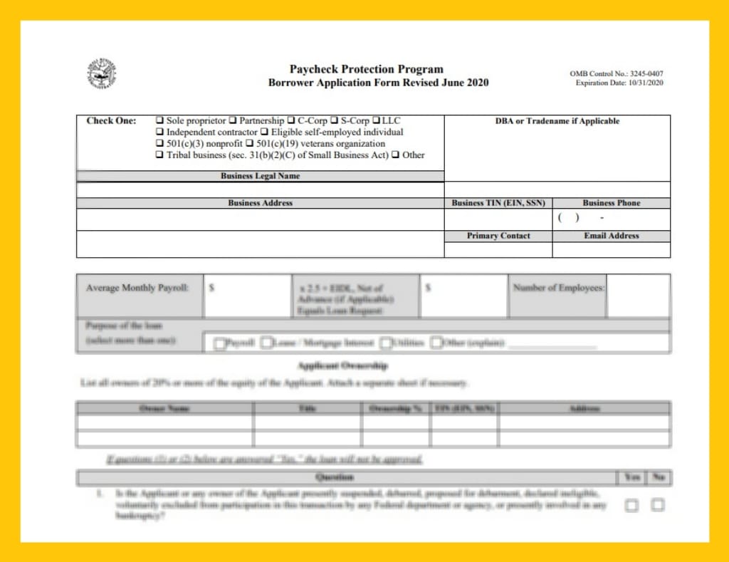 Paycheck Protection Program Borrower Application Form