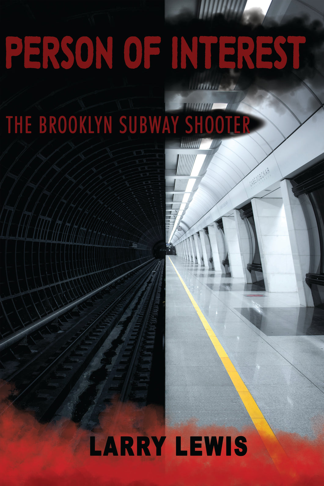 Person of Interest - The Brooklyn Subway Shooter