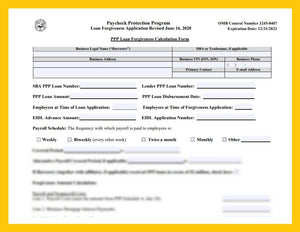 PPP Loan Forgiveness Calculation Form