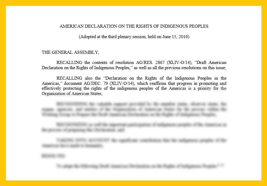 American Declaration of Rights of Indigenous Peoples affidavit